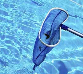 Swimming Pool Maintenance & Cleaning in Rockville